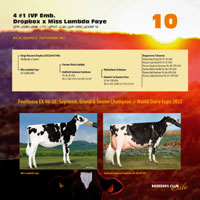 Zwei Fotos pro Seite