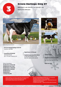 Drei Fotos pro Seite