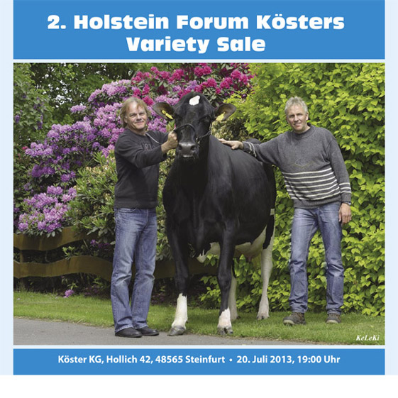 Holstein Forum K&ouml;sters Variety Sale 2013, 2015, 2017, 2019