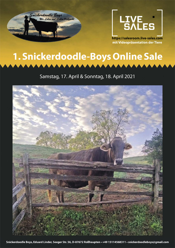 Snickerdoodle-Boys Online Sale 2021
