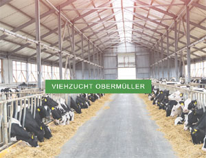 Demo Viehzucht Oberm&uuml;ller