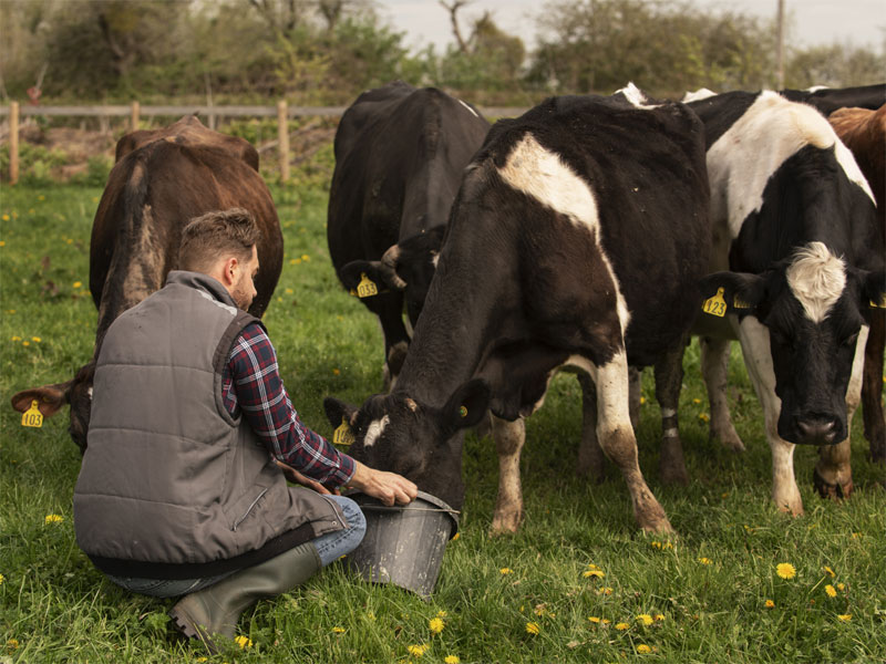 Drei Fotos pro Seite